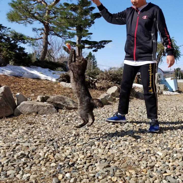 E5a2daea feb8 4c9e a892 d79c13024bae 1587430546441