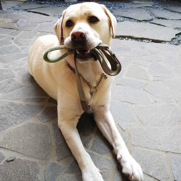 E5a30049 880a 4ddc 91ec e3fdf8aca0ce 1572483875632