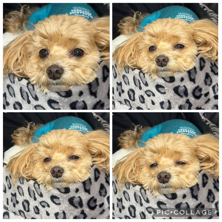 E5a30d89 0e75 44a4 be6f c302d1fde296 1768134366421