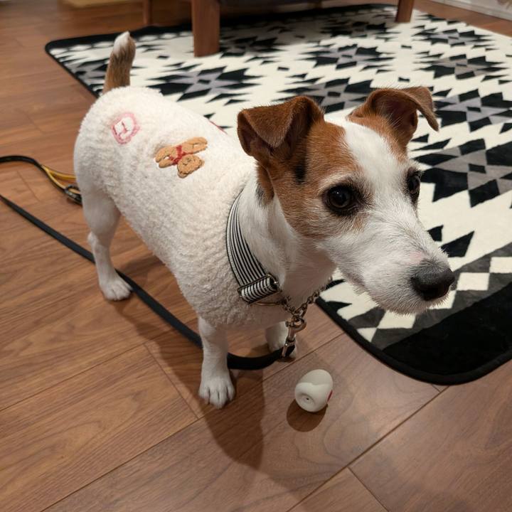 E5a31cfc 56c1 4c20 96d3 587cbea13179 1766449092197