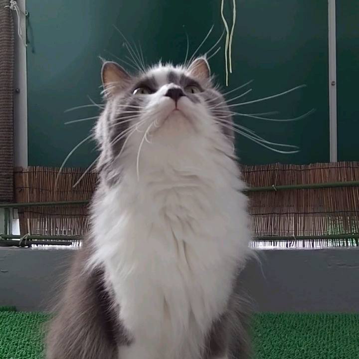 E5a34426 e700 41d5 a85d 6c9a4f261d00 1730015506230