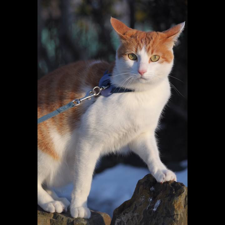 E5a3707f 8831 4b6a 9a9d b1a44fdcdc8b 1517561448620