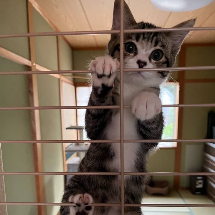 E5a380d7 d7a2 41db 846c c02887755f13 1689409066259