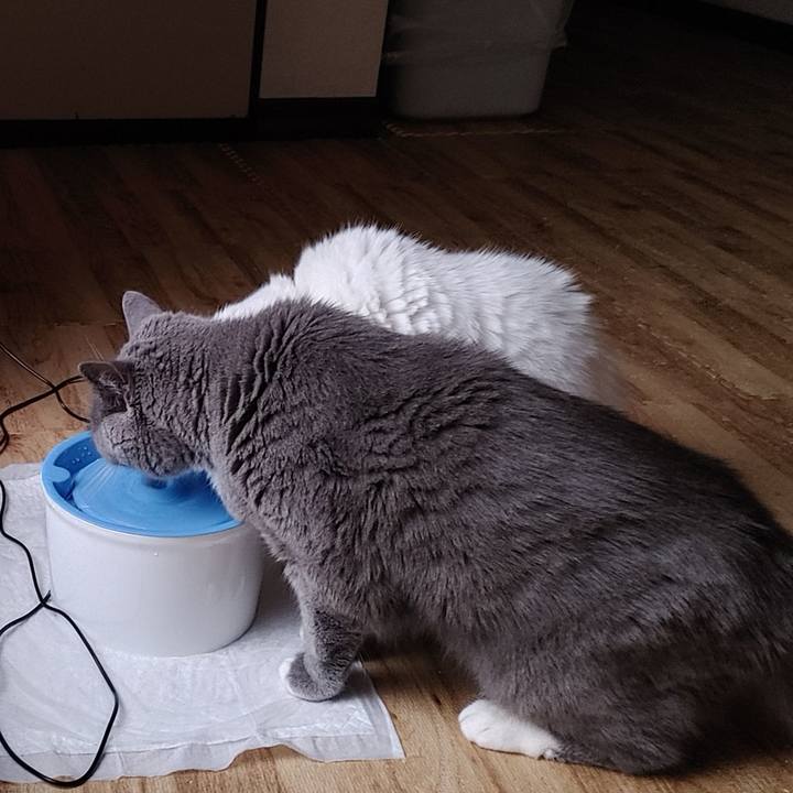 E5a38ae9 2dcc 4202 8956 cb003aa26a20 1735124536230