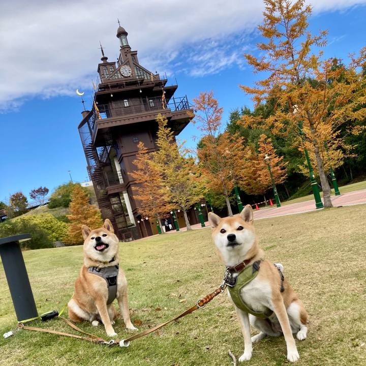 E5a3947f c63e 4e41 b13d 5986b1359357 1762842642152