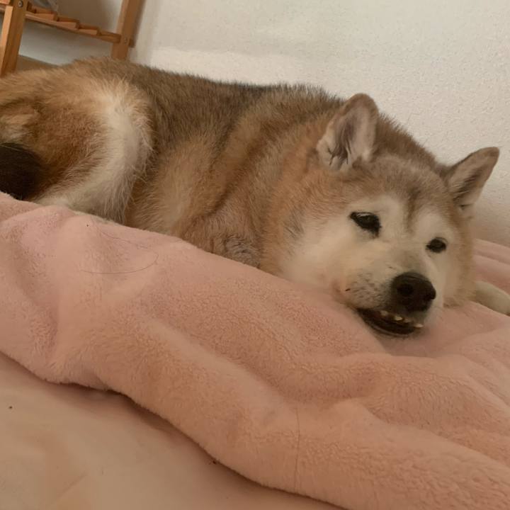 E5a3fde4 4380 42eb 8410 96962dc4ec9b 1659251213982