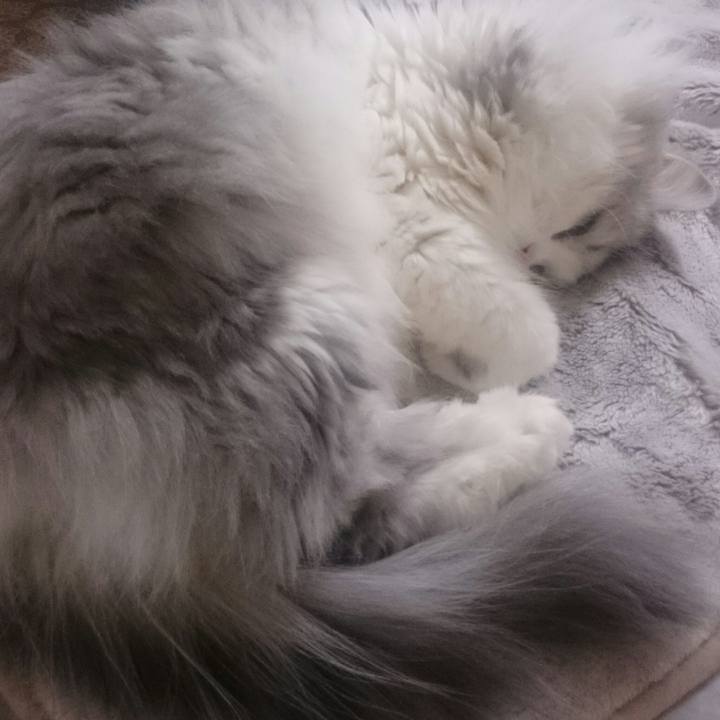 E5a42027 1ad7 4dd1 bc25 75d09a478703 1511502803246