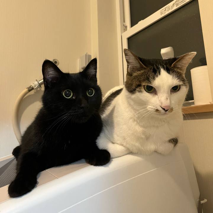 E5a462e7 d95f 4978 828c a812db11bd6f 1688361976972