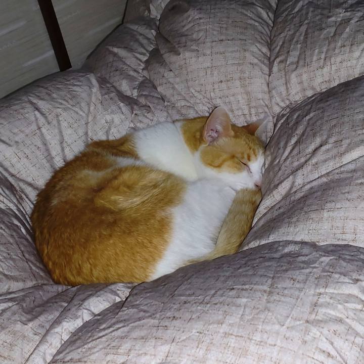 E5a4786f 847f 410e 88f5 8ba00ecaac3f 1773581348250