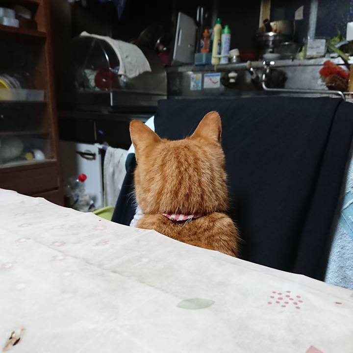 E5a48564 369b 467a 8ae5 7006177cf1e5 1606420993618