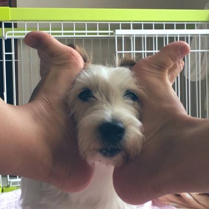 E5a4a9cf a063 43a4 8603 76927eeef077 1629083319164