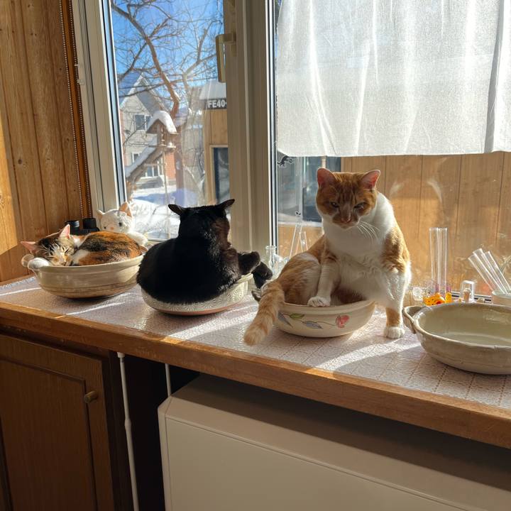 E5a4e1bc d76f 4387 ab32 0b0460422d01 1702947675942