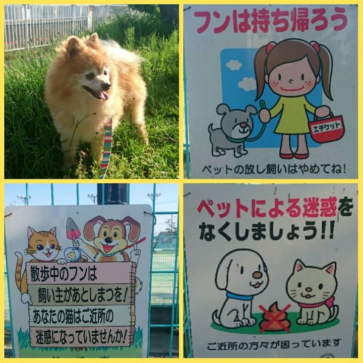 E5a4ebdf ce3a 49f3 8650 4384fc0a38c9 1558080099328