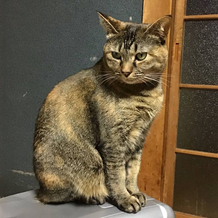 E5a4f82d 844f 4af4 ae83 7da846073989 1673429525880