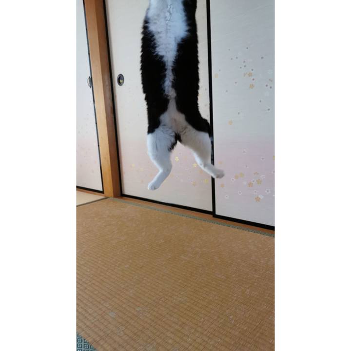 E5a4f8d7 d350 4be7 9549 f4144283ddac 1621669079218