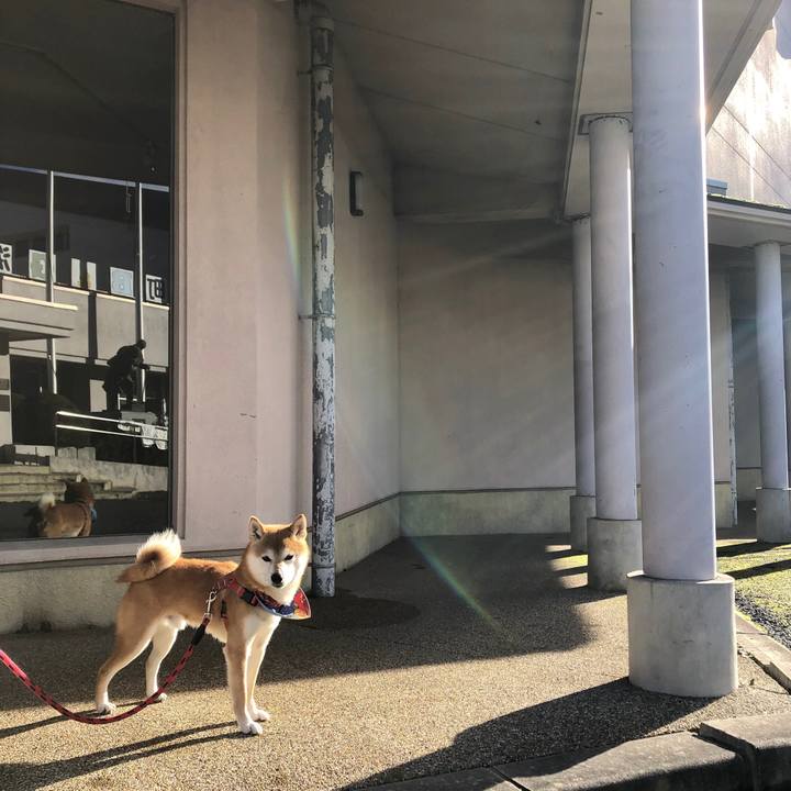 E5a54104 91f1 4a5e 85de d1ae838d85cb 1544605751483