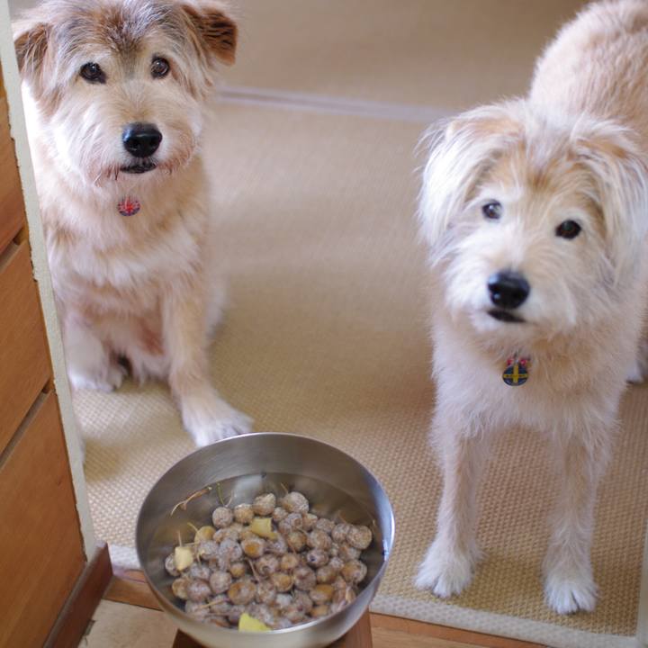 E5a5598b 8111 48ce 8ef1 441d8b9fb7e3 1605870844296