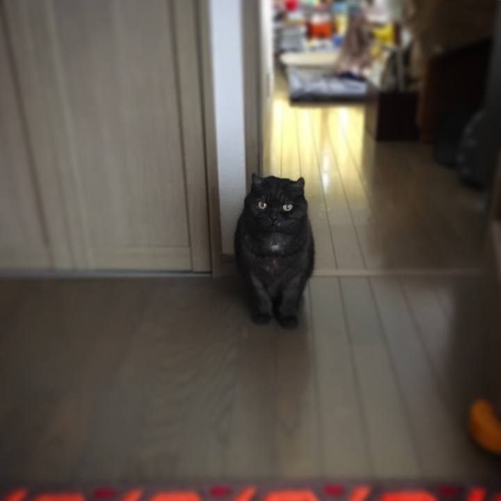 E5a58293 31c0 46af 8aae 3c0b5a386a81 1544939303328