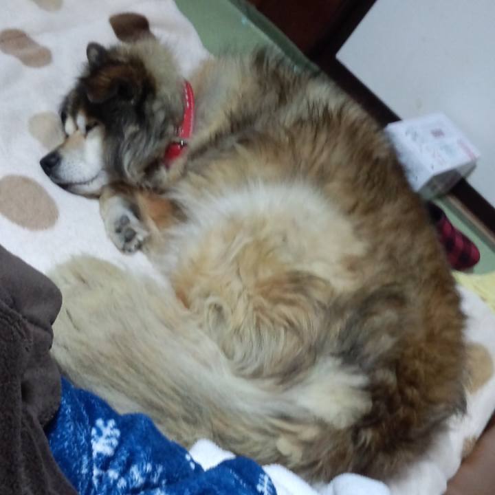 E5a58d09 477f 4e41 b7bd 158c6e43e0e2 1558317962881