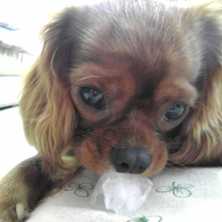 E5a590ff a057 4183 a8dc c712bcd77ce2 1597059171057