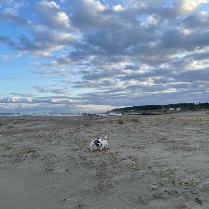 E5a59ed2 4d96 4e58 b58e d94a4165f8b4 1762558157416