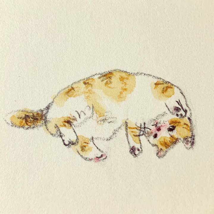 E5a5b5f1 04bb 4626 9f5f 774809ea6272 1637144886524