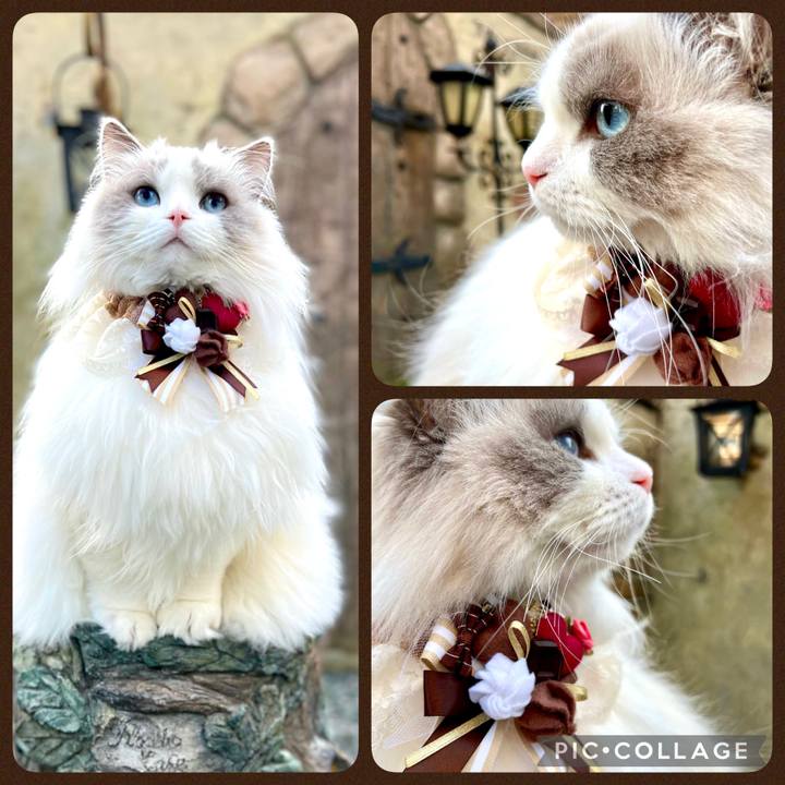 E5a5c54e 9c82 4d37 bec8 50f304fd4367 1641882958843