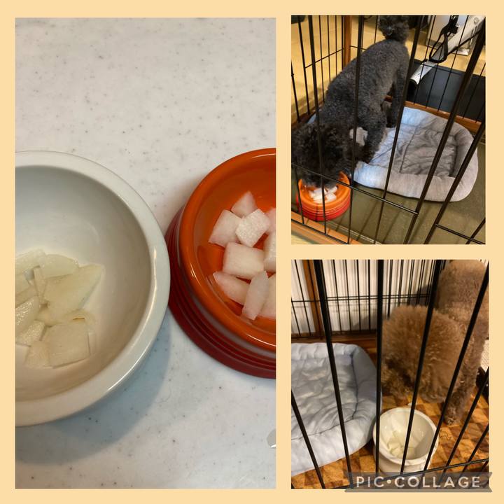 E5a60863 834e 4bc0 8ac7 7b6688ade150 1633699771596