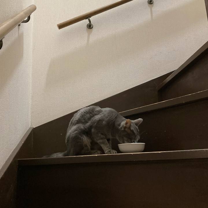 E5a6178a ac5c 4d56 abf9 8edb1307b9c9 1687177086883