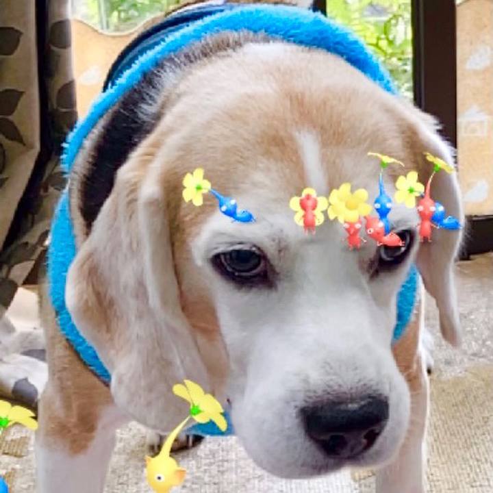 E5a62d3d 8a11 472f ac04 23340a43f95a 1637295247601