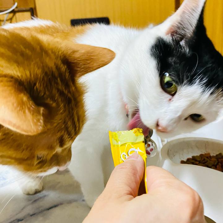 E5a66829 334f 4aa3 9342 89640c808770 1720274163433