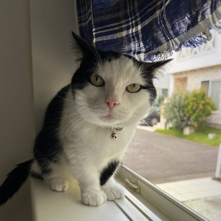 E5a67fe4 7ba2 4b30 a6a2 e2647b337f29 1760396101541