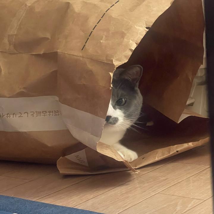 E5a6aa21 556c 4b9f 854e 574f198ca4a7 1721693267663