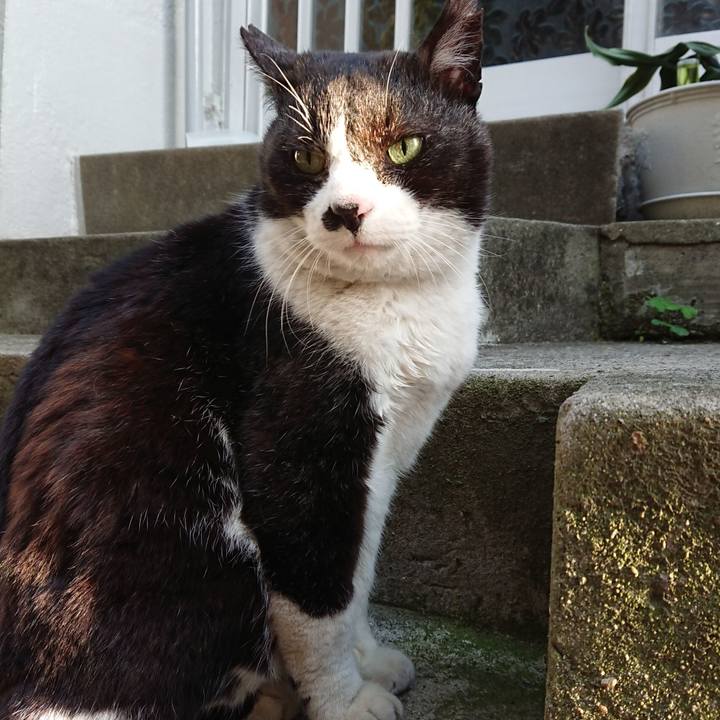 E5a6aa74 5624 480d ae6e 2d769fe368e2 1683193938760