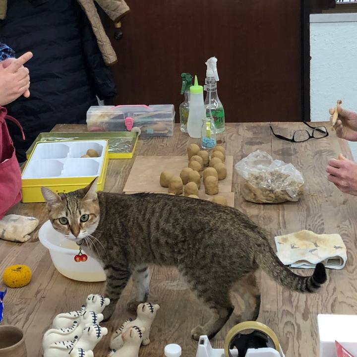 E5a6b3a1 7b25 4b8d b214 855046a88773 1639889289256