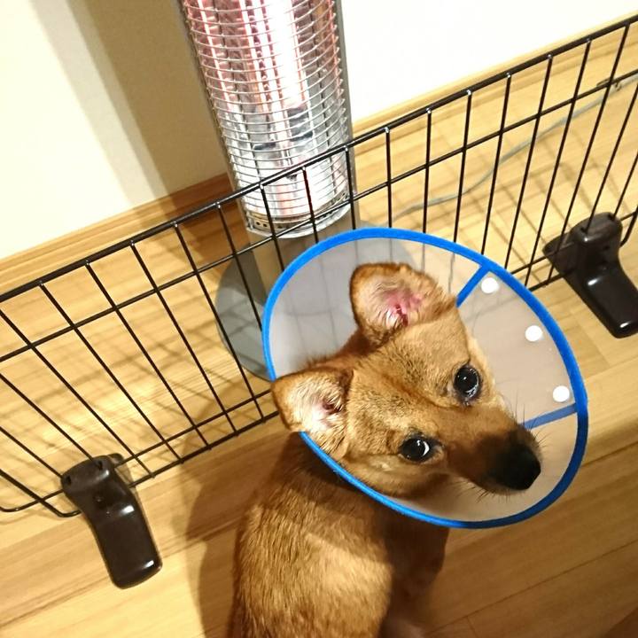 E5a6da1f dbc0 48cb 8ca5 124f7facfb51 1508188292279