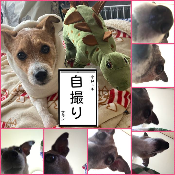 E5a6df89 5f0e 44cd 8eb5 24d1837d0dbb 1609595467128