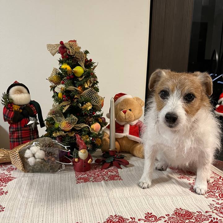 E5a6fc05 74ab 4499 9d91 3c0a16318944 1730953486788