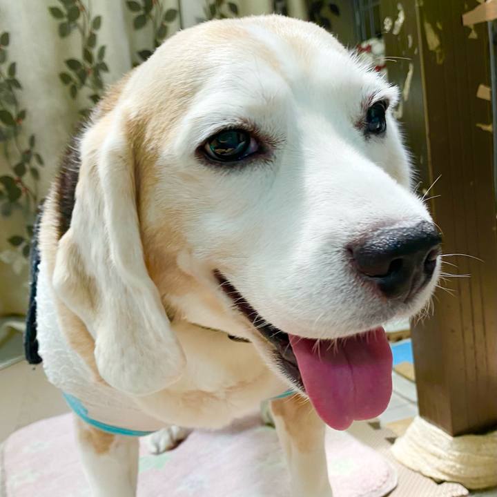 E5a70487 7730 4187 8139 843a324c4ab1 1660189021868