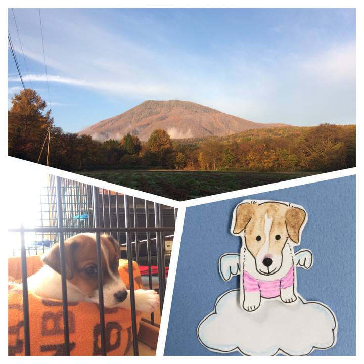 E5a71ae8 2a18 4104 8b75 e7fbcbd4dabf 1509496861244