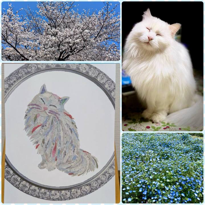 E5a76792 8fae 4839 81d3 615377962b7b 1744409545271