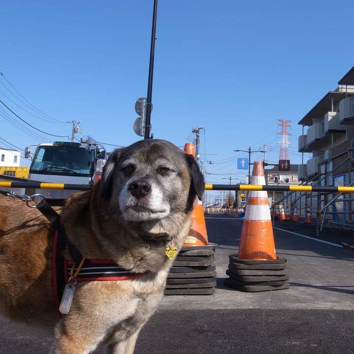 E5a79e60 bbb4 43f9 ac85 7e31e2dc6bc0 1599867094746