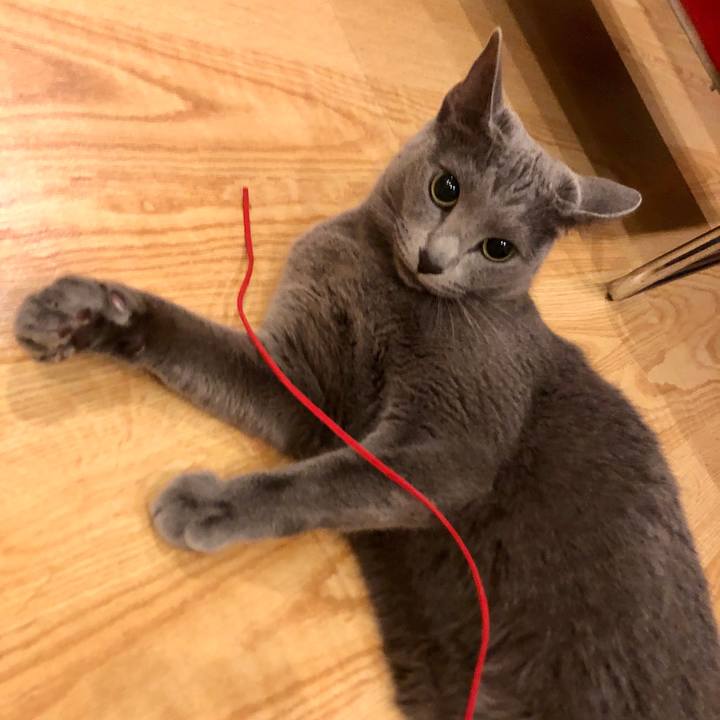 E5a7d8f0 19c4 4242 bd3c 0551c633cfcf 1582435764030