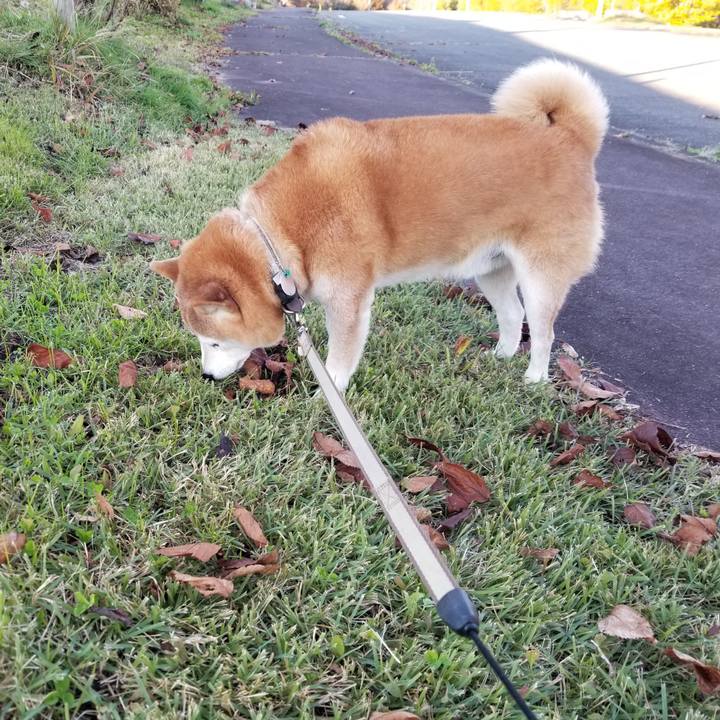 E5a7fa81 5ff3 4f5c 9571 d064cc64763c 1666768004853