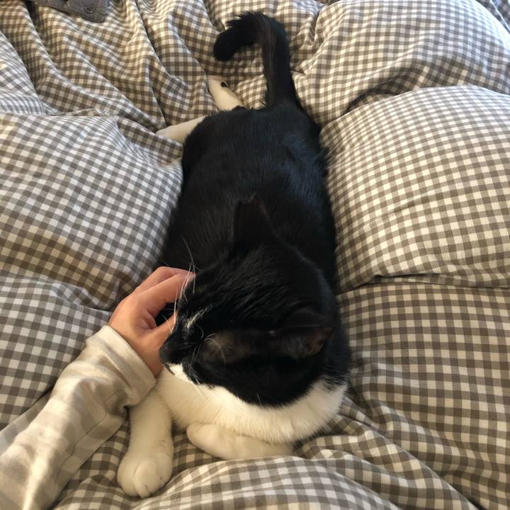 E5a81589 3412 438d 9e8a 4d1d67e6a4ce 1550433917006