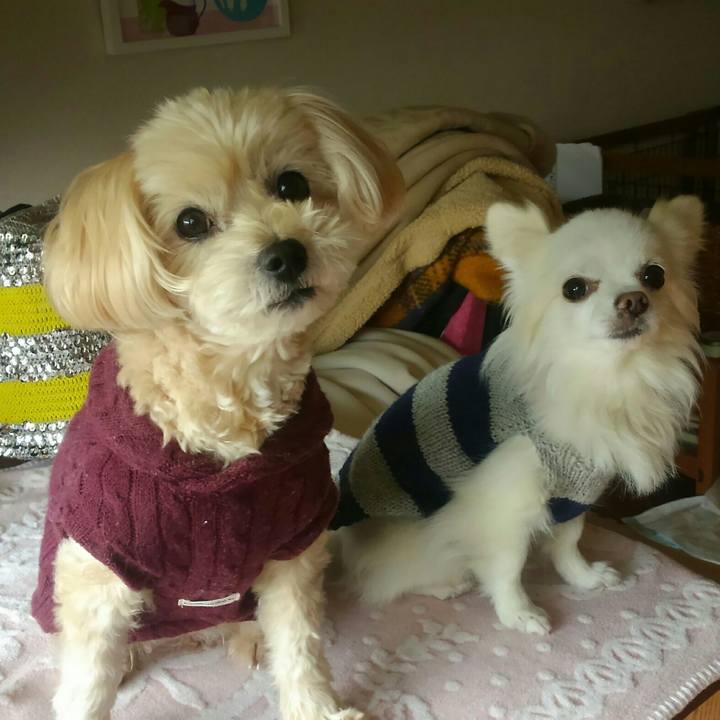 E5a82816 6093 4741 9235 c679adb5c8d6 1519822140271