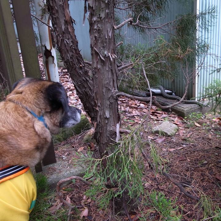 E5a87c4a 18f9 426e 9f79 8934b407ed74 1749860831465