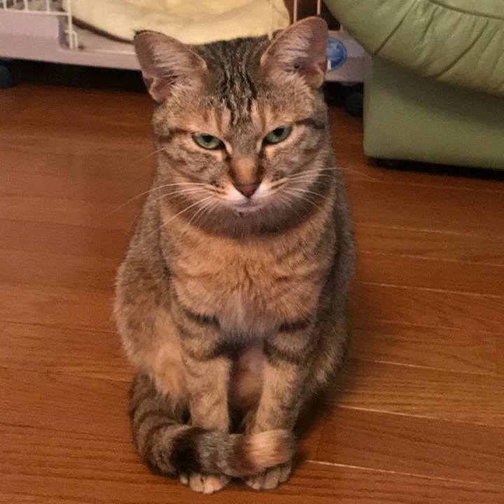 E5a87e7d 0d3e 4927 a1fd 0d88142c1292 1585363403321