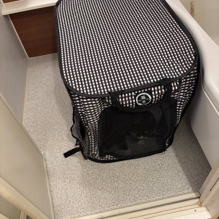 E5a87f7b 5e76 4e0f 926b edfac4a3570f 1762668295479