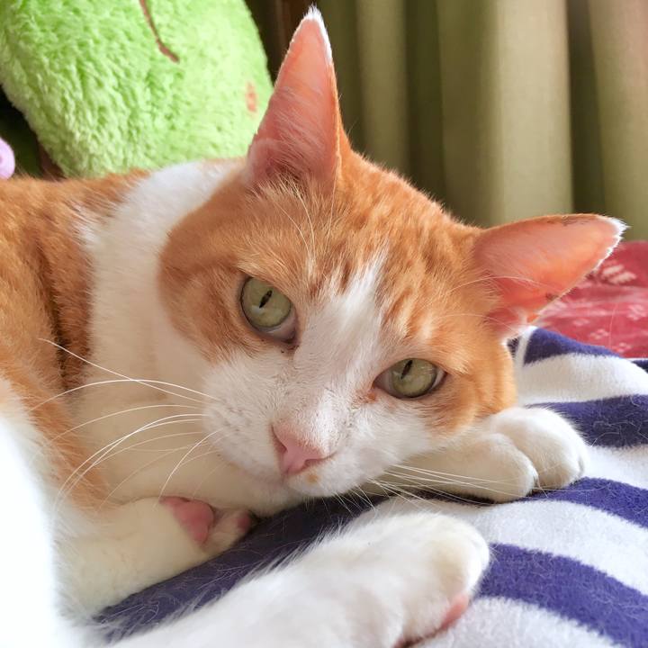 E5a88bcf e537 40b0 93b0 4853b67260f2 1570605837962